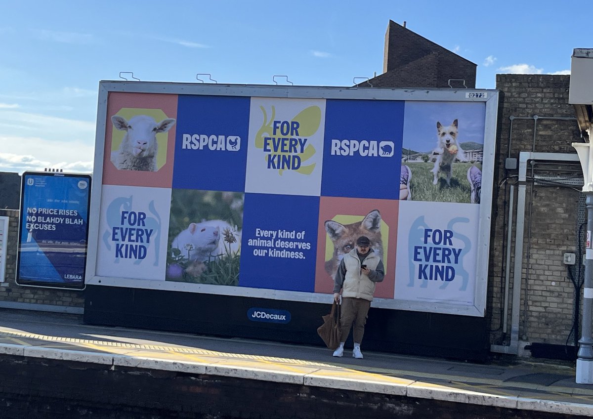 An interesting advertising campaign by the @RSPCA_official that I can get behind, but despite the messaging, every photo is of a mammal. Where is the representation for the animals that are not ‘cute and fluffy’?