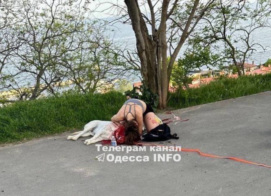 This is why ruSSia must be defeated. Innocent civilians murdered. Innocent animals murdered. Their crime? Enjoying an evening walk in spring time Odesa as free Ukrainians. ruSSia IS A TERRORIST STATE.