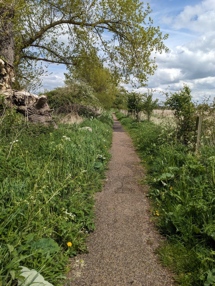 BikeSkateBox's tweet photo. Out  on  site visit with @SarahLeeming1 to #LongWittenham and #ChilternRoad near #Didcot for #NCN activation project. 

Head wind in all directions, few hills, road being resurfaced &amp; accidental muddy non-NCN detour.

More kms than I've done in a while on the @BromptonBicycle https://t.co/CZexeOVn5e
