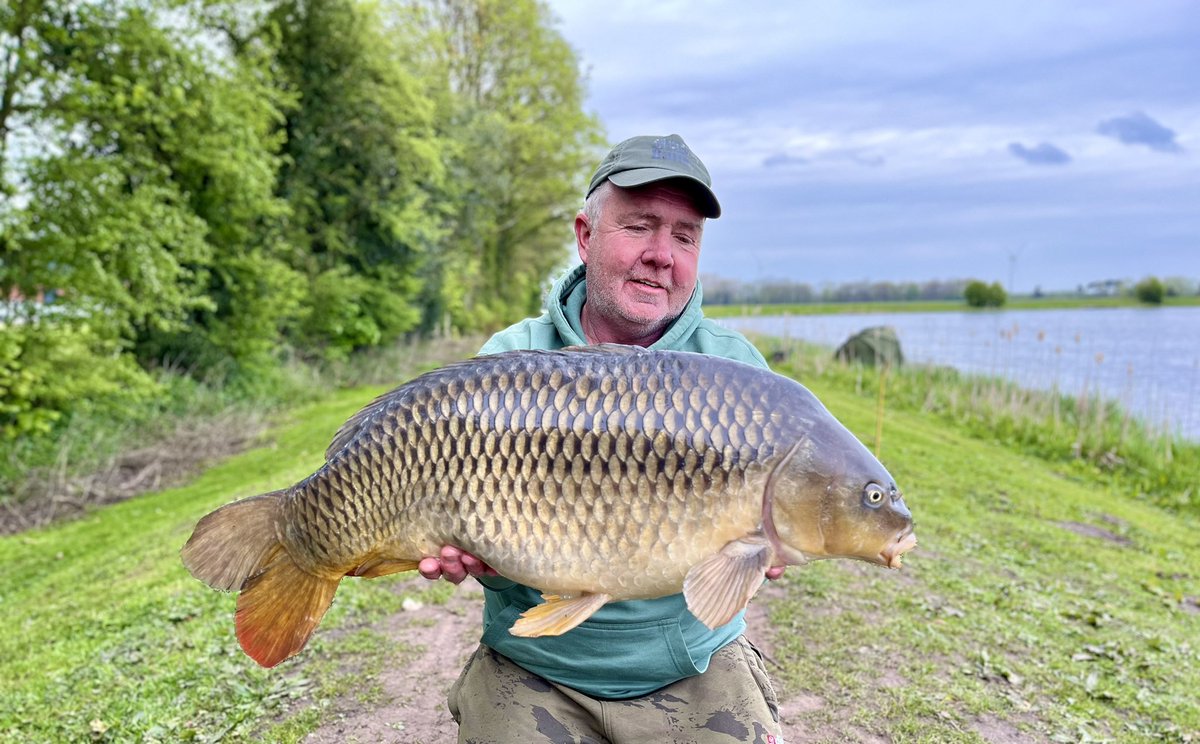 Shoulders on that common. 😮 at 22lb-1 this is going to be a big fish. Would love to see it again in a few years time and compare it. <a href="/mistralbaitsUK/">Mistral Baits</a>  Atlantic Crab