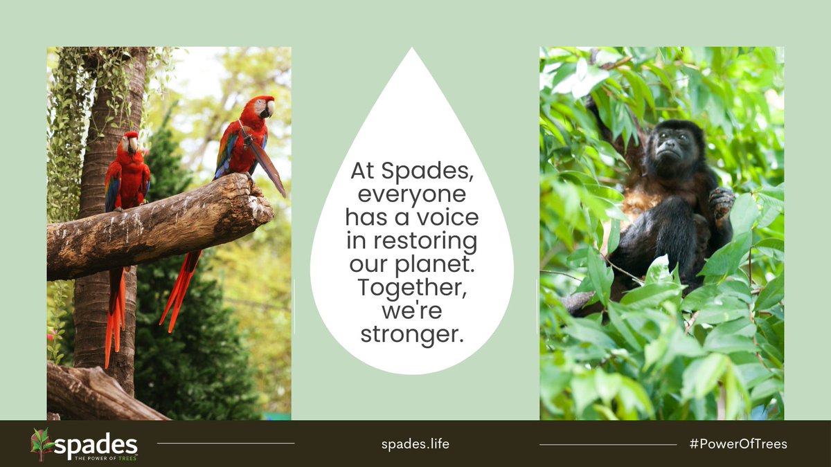 Spades in our mission to save our planet. With innovative solutions and programs, we believe everyone can make a difference and every voice matters. spades.life/projects_and_o… #PowerOfTrees #SavethePlanet #Sustainability
