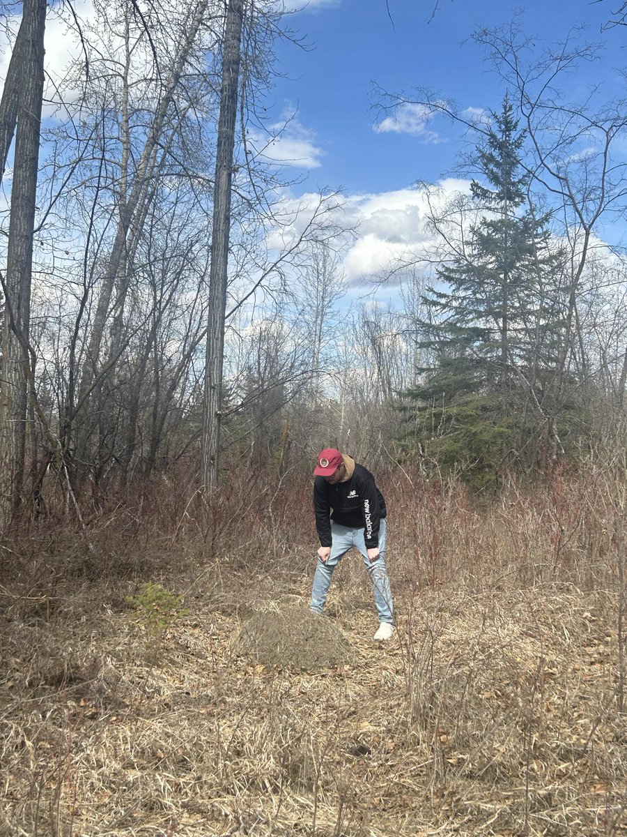 “honey…. come look at this big ant hill” shoutout my wife for snapping this picture of me checking out this GIANT ant hill this week! BIG ANT GUY 🐜 (probably because of Honey, I Shrunk The Kids) 📻CFEX.STREAMON.FM / @ItsSeanMcEwan