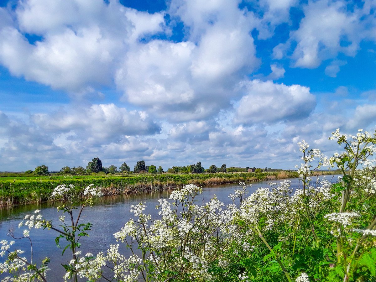 Chuffed to get an Editors Pick for my river photo this morning and see it featured by Julie on @BBCLookEast at lunch time. Thank you Julie and @bbcweather #WeatherWatcheralpacalady 😊😊