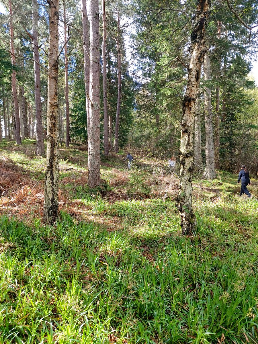 Forres Academy Inclusion tweet media