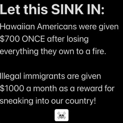 Hawaiian Americas were given only $700 ONCE after losing everything to a fire. Illegal aliens are given $1000 A MONTH as a reward for sneaking into our country. What more proof do we need that our government hates us?