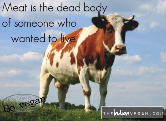 veganfuture tweet picture