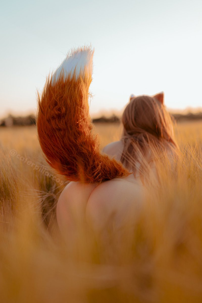 CUTEpillar cosplay girl tweet media