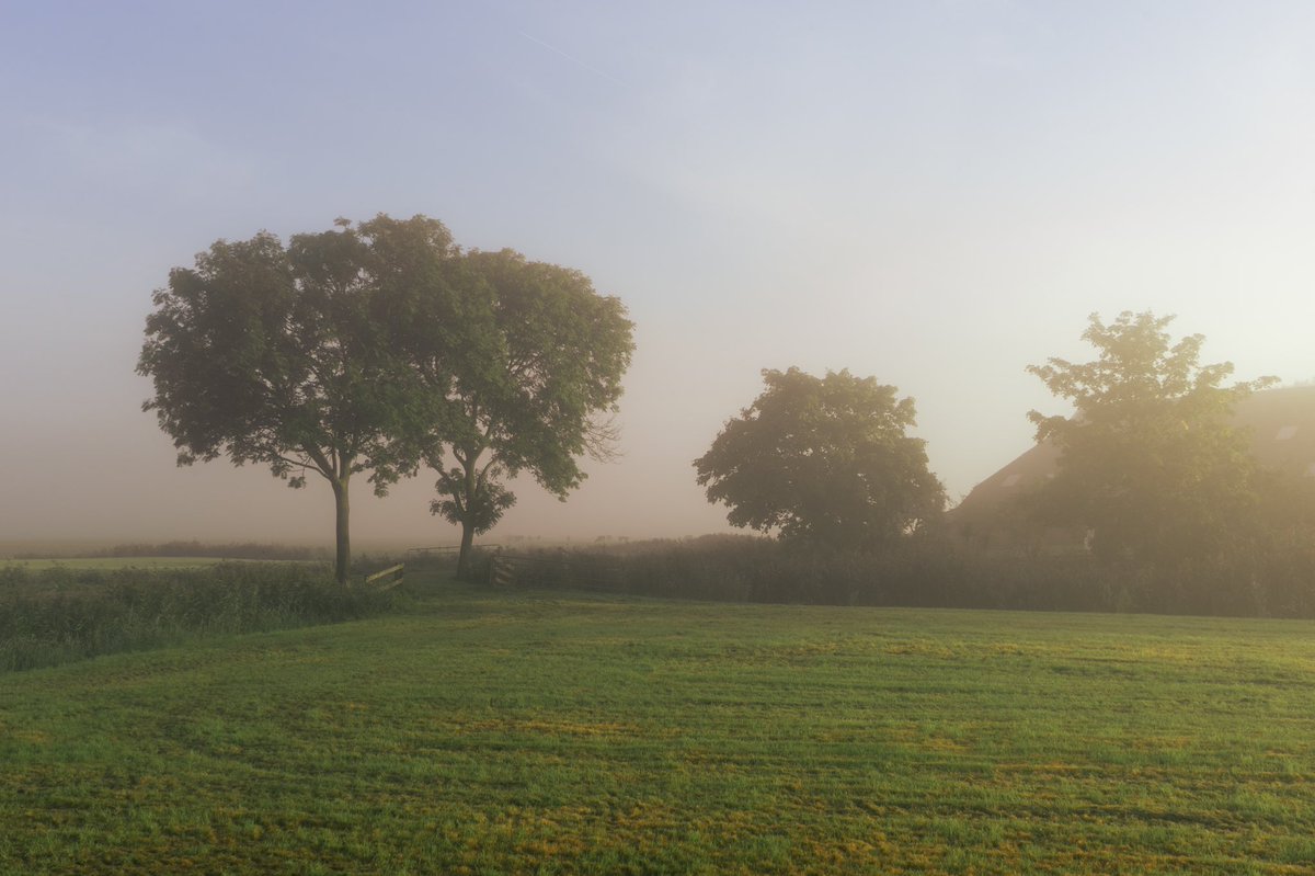 melopacare's tweet photo. morning fog. https://t.co/8dUmmoStmn