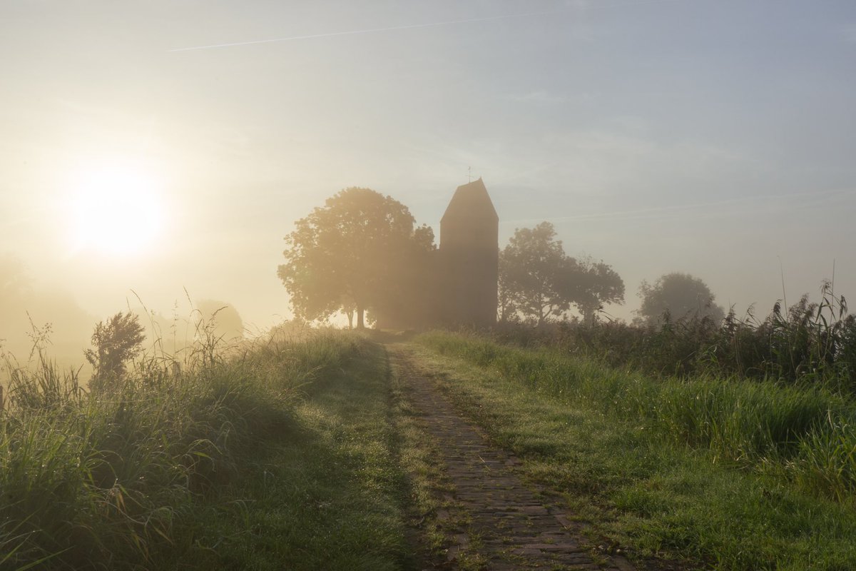 melopacare's tweet photo. morning fog. https://t.co/8dUmmoStmn