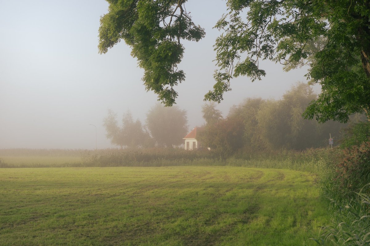 melopacare's tweet photo. morning fog. https://t.co/8dUmmoStmn