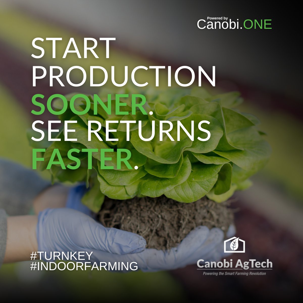 A pre-configured #turnkey solution reduces setup time and streamlines implementation canobi.one/products/turnk….

Make more efficient use of your time with our ready-to-use systems. Operators can start production sooner and investors can see returns faster! ⌚💰

#indoorfarming #CEA