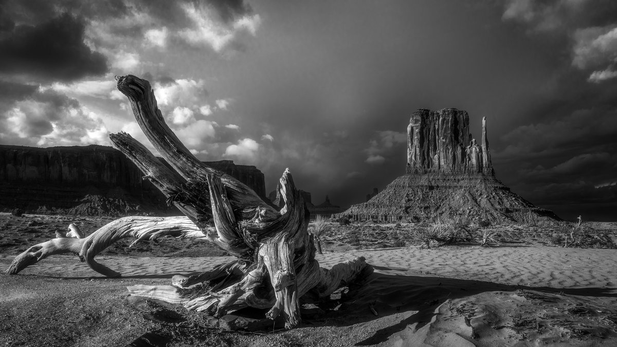 Navajo Nation Tribal Park | Arizona

#photography #PhotographyIsArt #photo #Photographer #landscapephotography #monochrome #Monumentvalley #navajo #artforsale #arizona 

aroundtheglobephotography.com