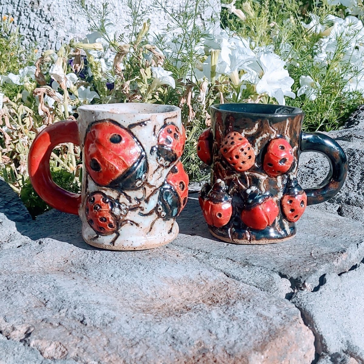aberrantceramic's tweet image. Ladybug mugs
etsy.com/shop/aberrantc…
Did you know ladybugs can bleed yellow liquid from their knees when they feel threatened? 
#ladybug #pottery #mugs #ArtistsOfTwitter