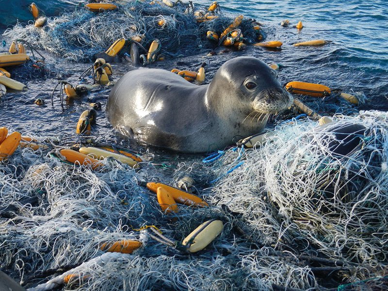 It's time we put an end to the plastics menace! What happens to the downstream??! @WinnieCheche @kean_Intl #KEANInternational #Sustainability #KnowledgeSharingPillar #EarthMonth