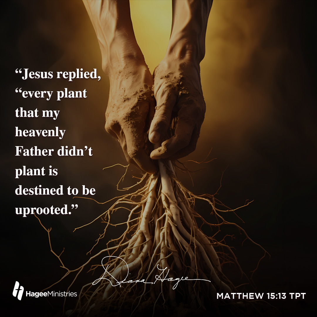 Jesus replied, “every plant that my heavenly Father didn’t plant is destined to be uprooted.” Matthew 15:13 TPT
