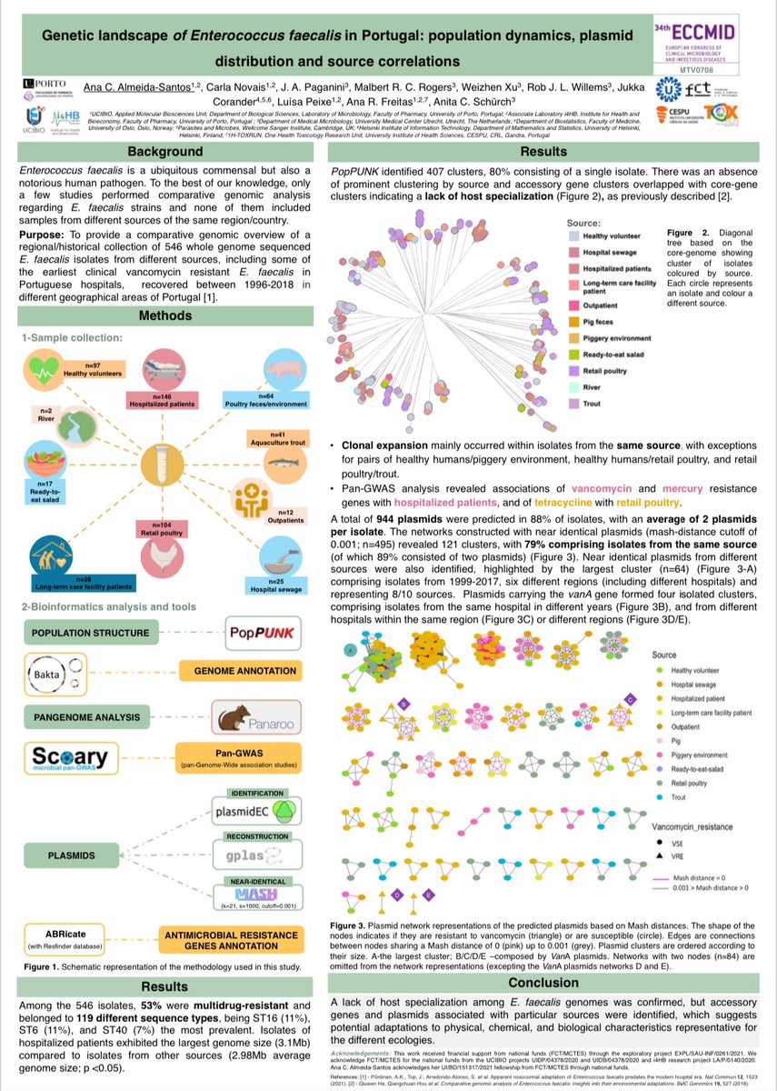 Tomorrow I will be presenting my work about E. faecalis genetic landscape in Arena 2 at 9:30h. Come check if you are interested in “antimicrobial resistance from phylogenetic drivers to plasmid-mediated resistance”. #ECCMID2024