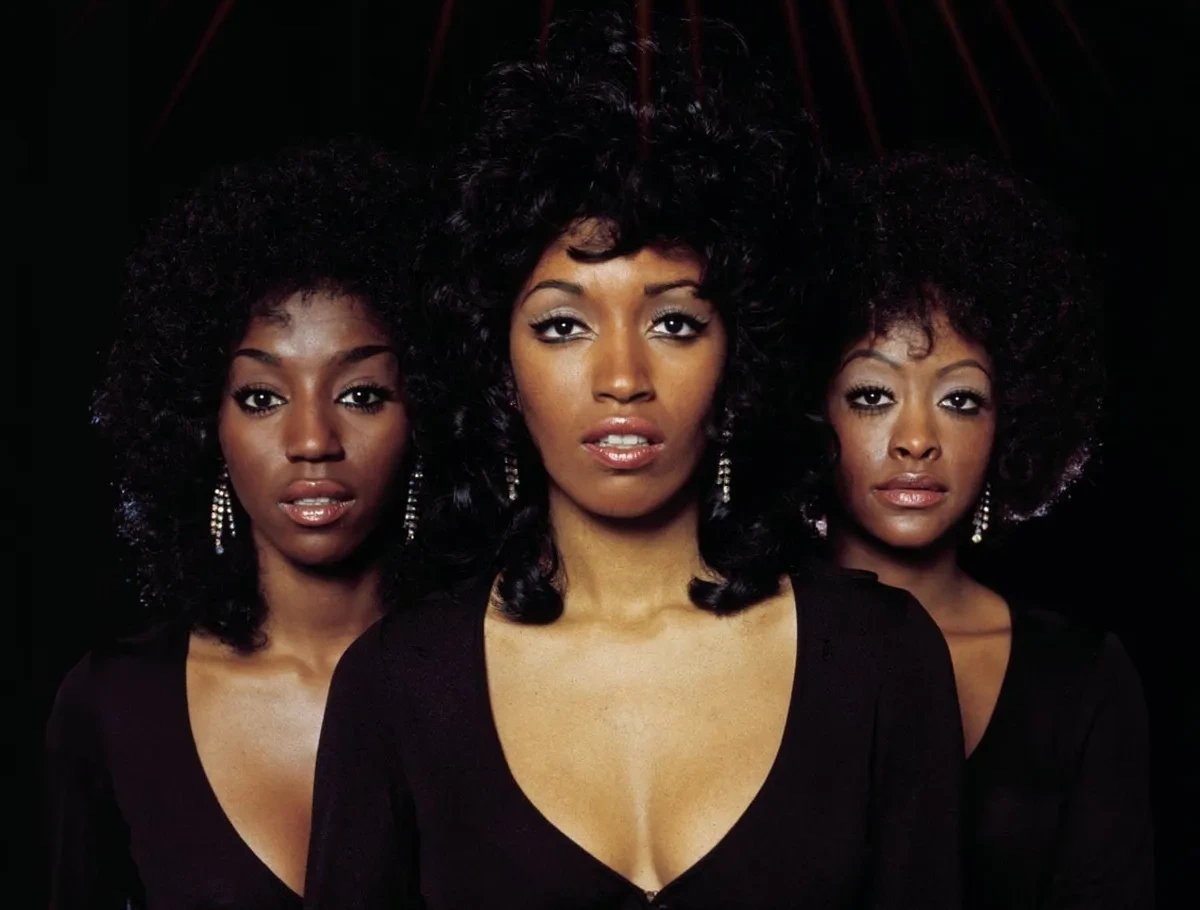 avenge the ancestor'z tweet media