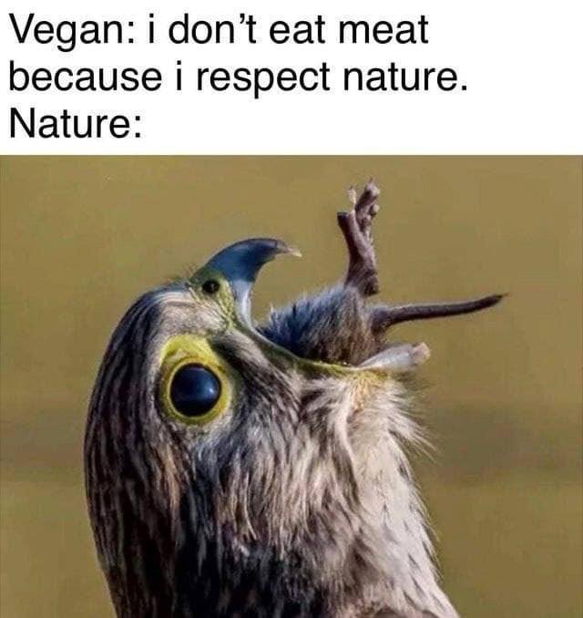 Peta blown the fvck out