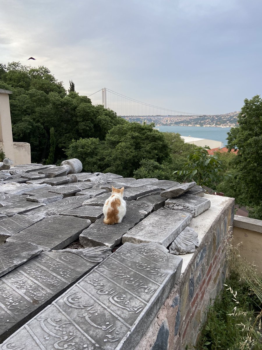 Mezarlıklar ve mezar taşları… Bana bu denli iyi gelen, ruhumu dinlendiren başka bir şey yok sanırım. Mezarlıklarda saatlerimi harcayabilirim.