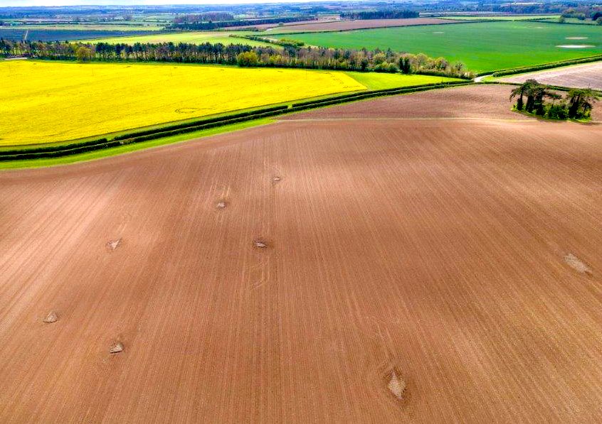 Farming with or farming around nature

Top marks to this farmer for identifying lapwings nesting on his field destined for spring cropping 

Ploughed cultivated and drilled around nests 

10 in total with three already hatched

#MakingSpaceForNature