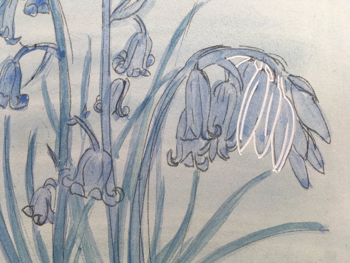 I went for a lovely bluebell walk in Ilkley Woods on Saturday, so I thought I’d share how I made my bluebell #linocut print. This is a close-up of the first lino block with my design roughly drawn on.

#bluebells #bluebellart #bluebellwalk #britishwoodland #printmaking