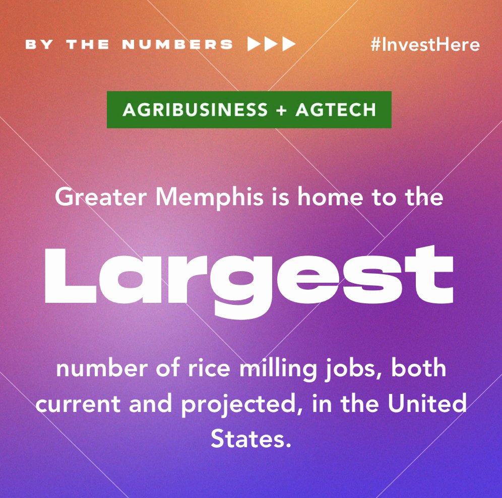 thedigitaldelta's tweet image. Greater Memphis emerges as the powerhouse of rice milling jobs in the United States, boasting both the largest current workforce and projected growth in this vital industry. 🌾💼

#memphismoves #jointhemovement #ricemilling #greatermemphis