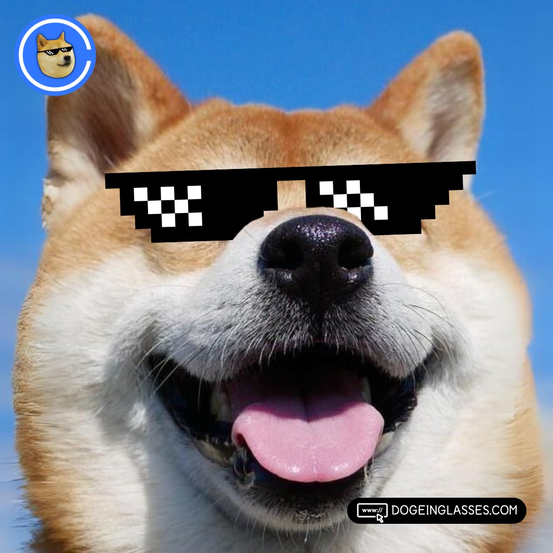 The prettiest boi on the #Base blockchain... actually, across ALL blockchains. 😎🐕 

Ya $DIG?

#BaseChain #BASEMEME #Memecoin2024