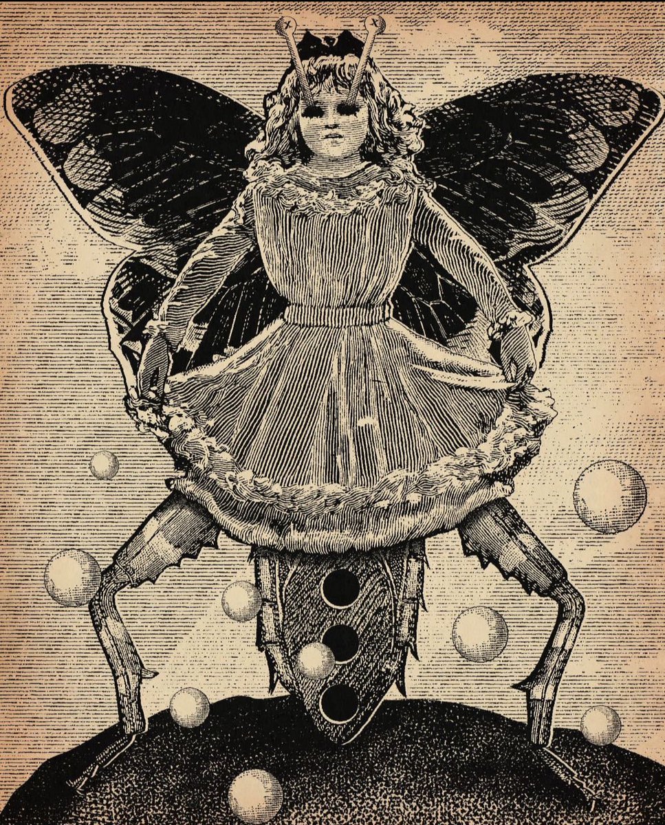 jdevinlearue's tweet image. 