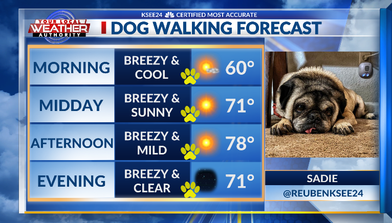 Sadie the pug here! The winds are picking up already this morning. So it might be a little tough for a long walk today. Make it a short one and tell your human to hold on tight to that dog leash. @KSEE24 #Monday #April #cawx #Fresno #CentralValley #California #Dogs #Pups #Puppies