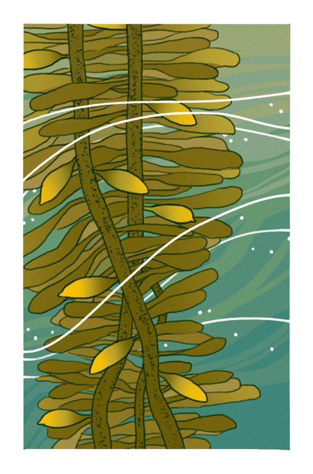 「branch tree」 illustration images(Latest)