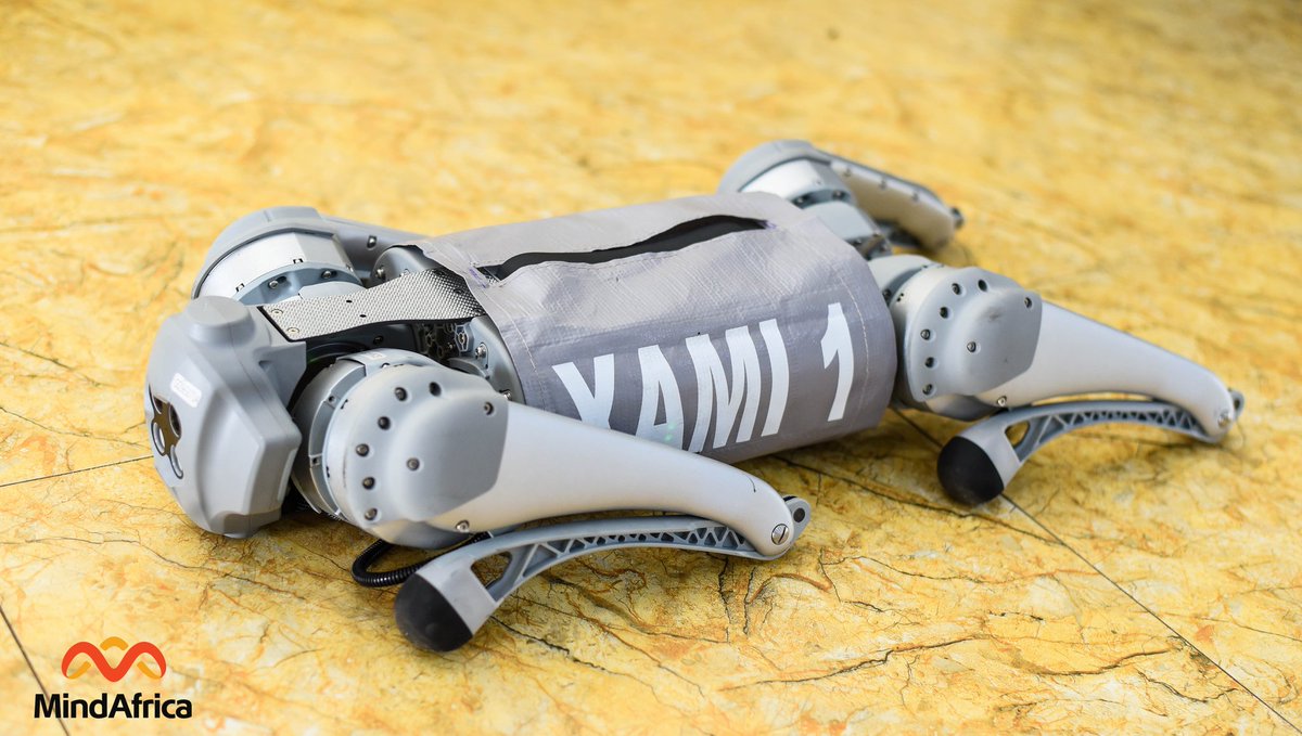 mindafricaorg's tweet photo. XAMI, the future of tech! Oidaenergy's robotic dog amazed students with its multifunctional capabilities. Ojei Nneka (GMNSE) inspired young minds, fostering innovation & curiosity. Empowering future leaders! #GirlsInICT #XAMI #Robotics #Innovation https://t.co/NcUfoZ6OhD