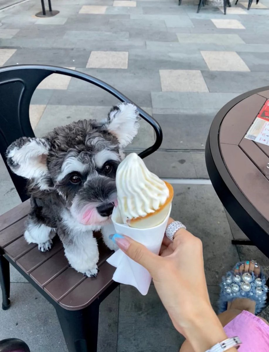 Always so cute, haha.🥰