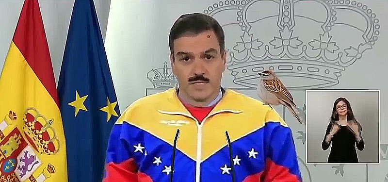 🔴🟠🔘Aló presidente, a las 21.00 h en la TV gubernamental.
#TodosconelLíder #Sanchistas_hasta_laMuerte 
#Patria_Socialismo_oMuerte #Antifa #Salimos_Más_Fuertes