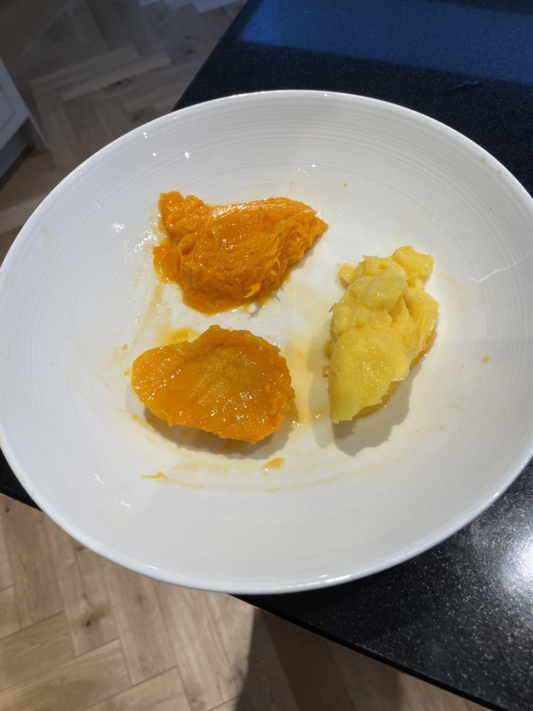 Mango taste test for the little 🐭 🐭 🇩🇲 🇻🇪 and 🇮🇳 alphonso Dominican 🏆