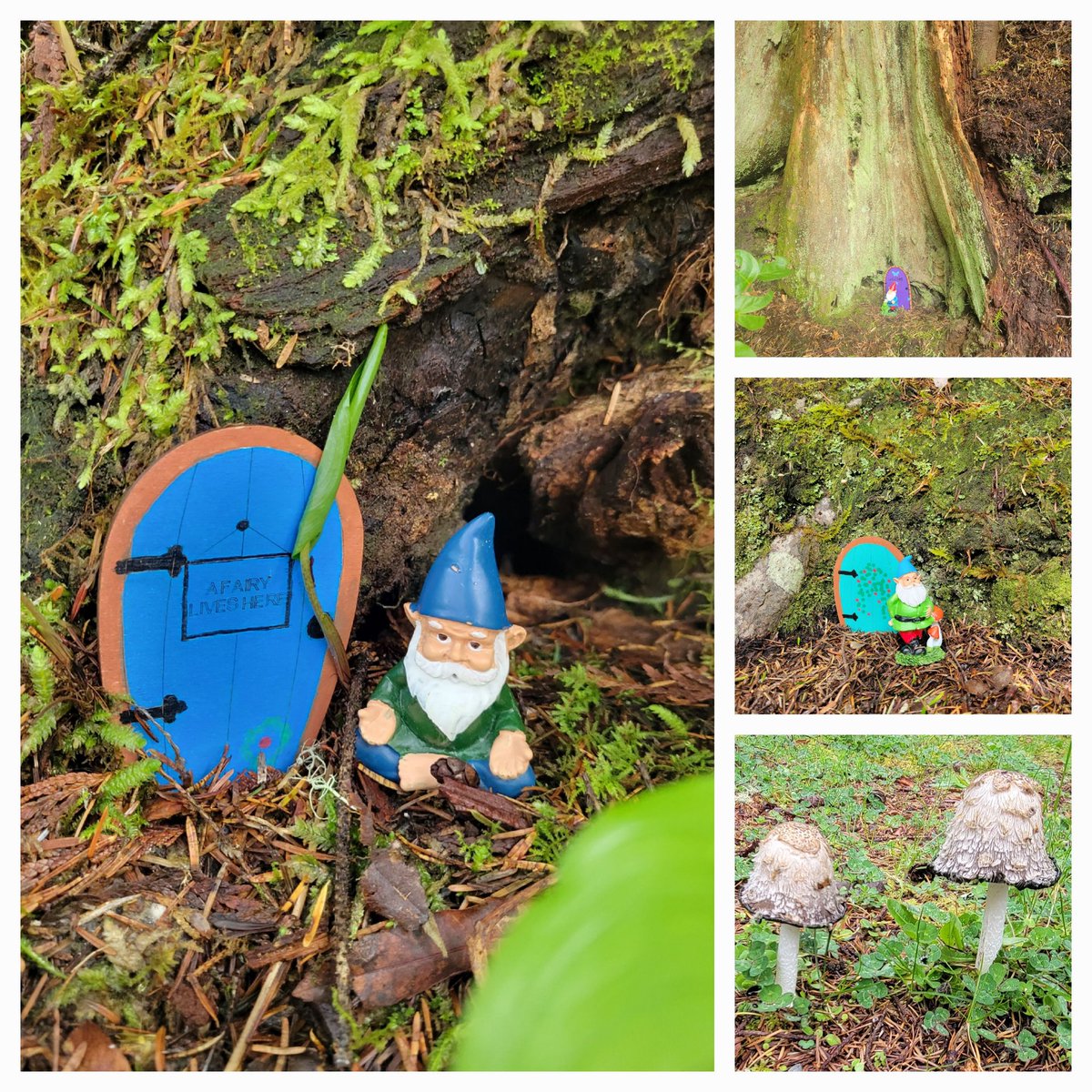 I love our morning hikes. We meet the coolest characters 🧙‍♂️