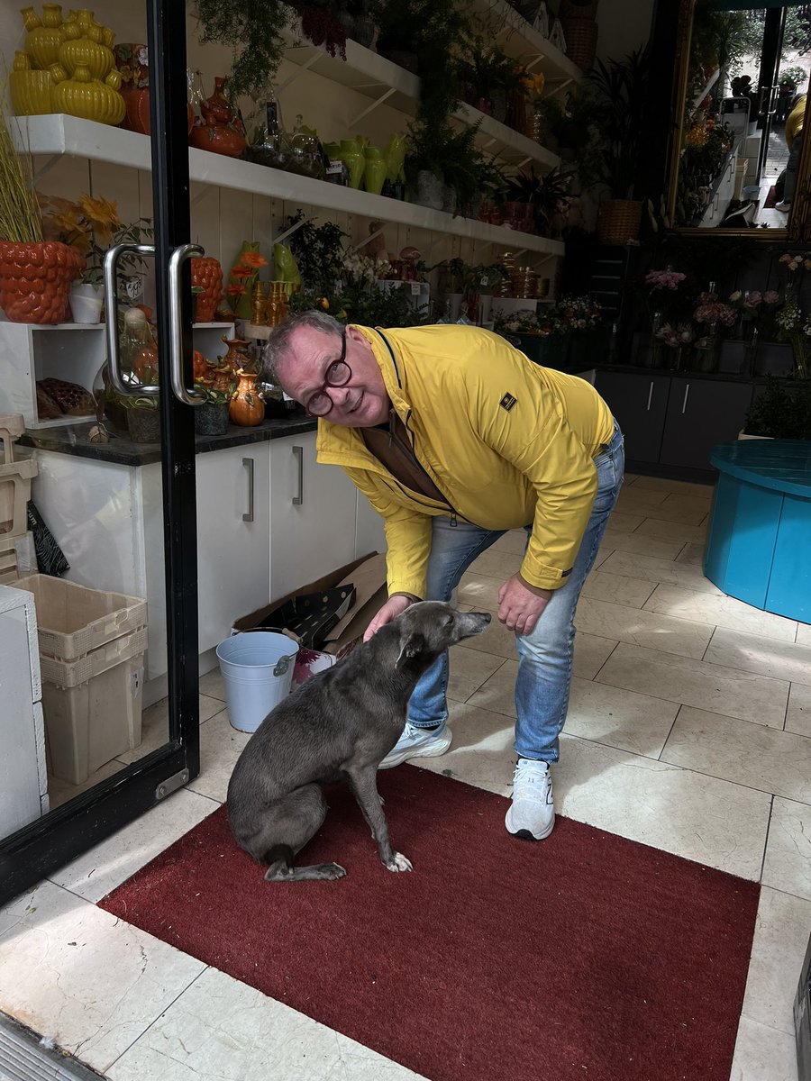 Good News, After a surprise visit this morning from this beautiful girl. She’s returned to her home with the help of the Waterford. County Council Dog Warren. 👏👏