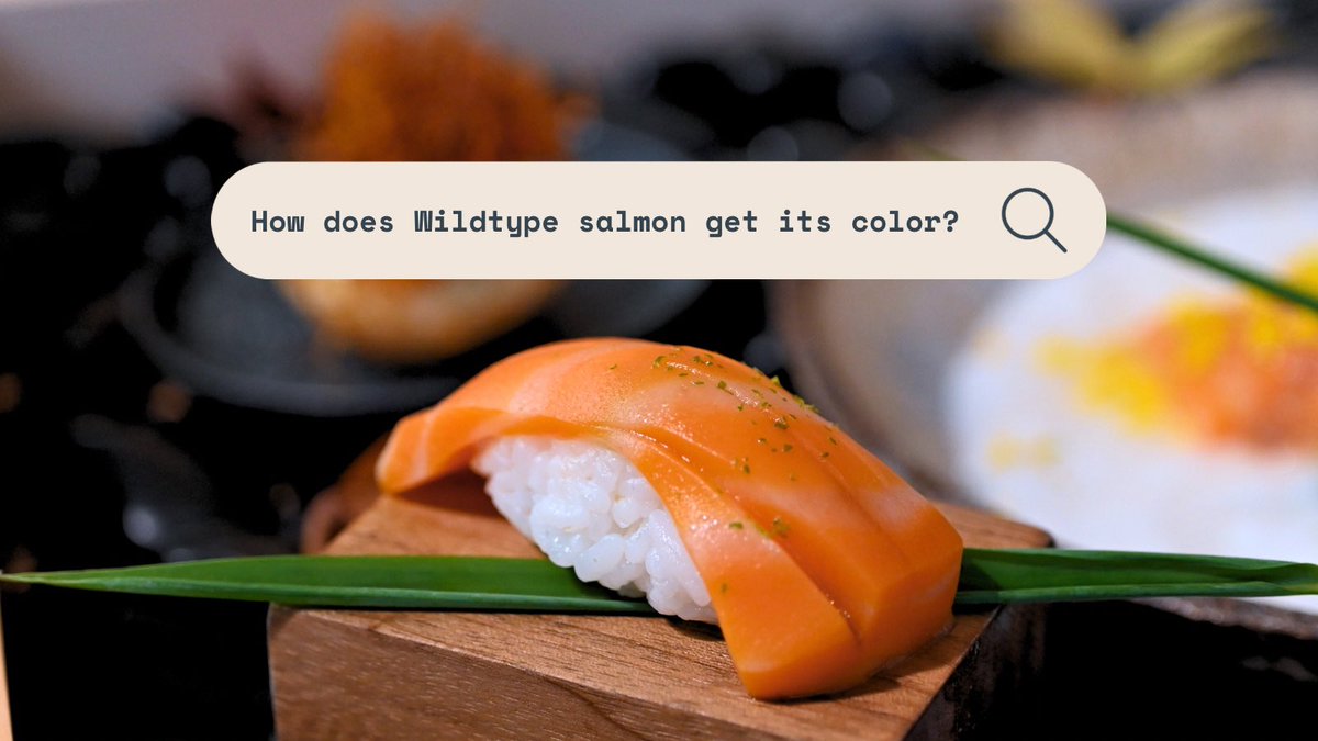 Wildtype salmon and conventional salmon get their trademark color from the same place: carotenoids!

These naturally occurring pigments are also found in carrots, sweet potatoes, and cantaloupes. Wild salmon have diets high in carotenes - just like flamingos.