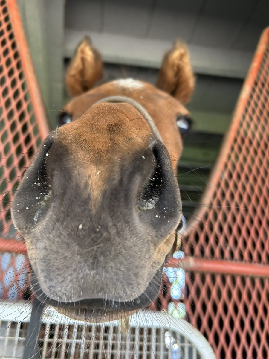 BOOP 👋 FROM  ‘24 
COVFEFE/GUN RUNNER @Gainesway