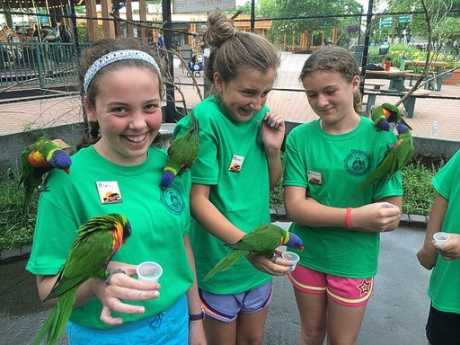 Summer Break Camp is right around the corner, so be sure to sign up soon for these fun and educational programs sponsored by @GEICO! Camps are available to children 5-17 years of age. FOTZ members receive a 10% discount. Register today at bit.ly/3SF7fik.