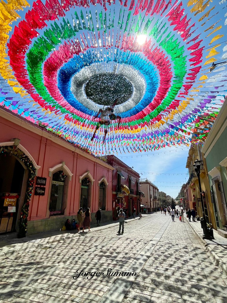 Los colores de Oaxaca …