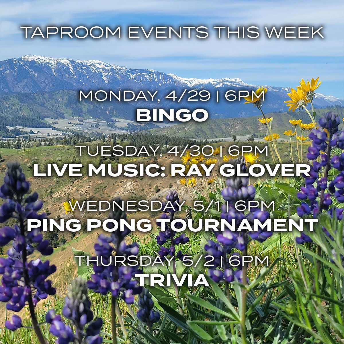 Great events at our taproom this week starting at 6pm! Monday: Bingo, Tuesday: Live Music, Wednesday: Ping Pong Tournament, Thursday: Trivia!