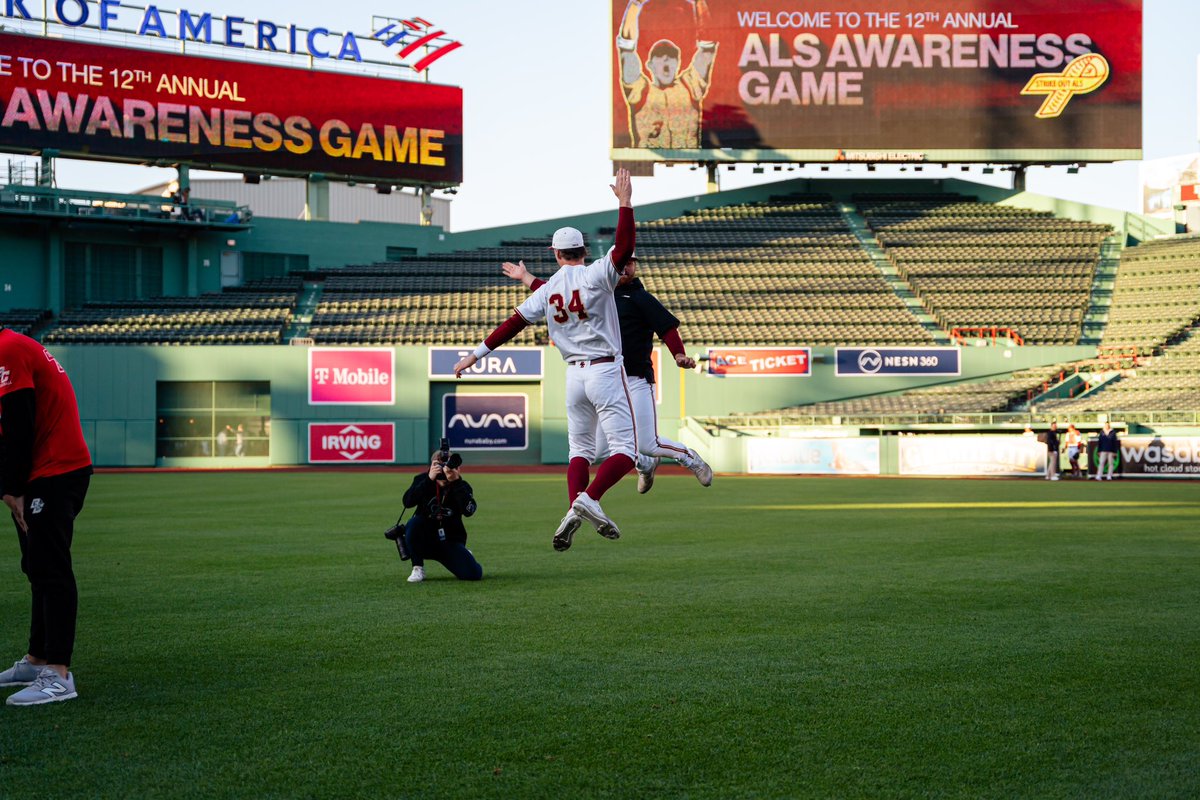 BCBirdBall tweet picture