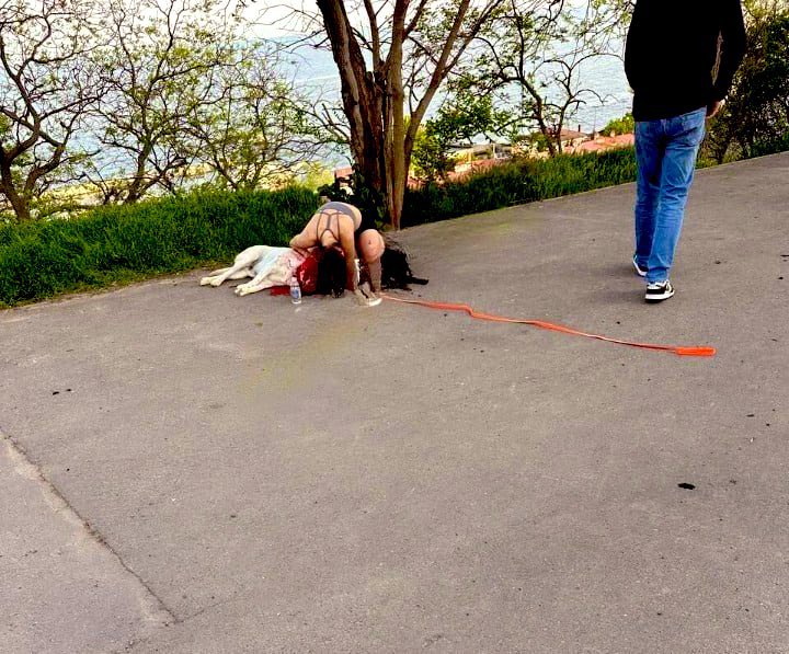 This girl was walking her dog in the park near the area hit by today's Russian shelling in #Odesa. The dog was killed.