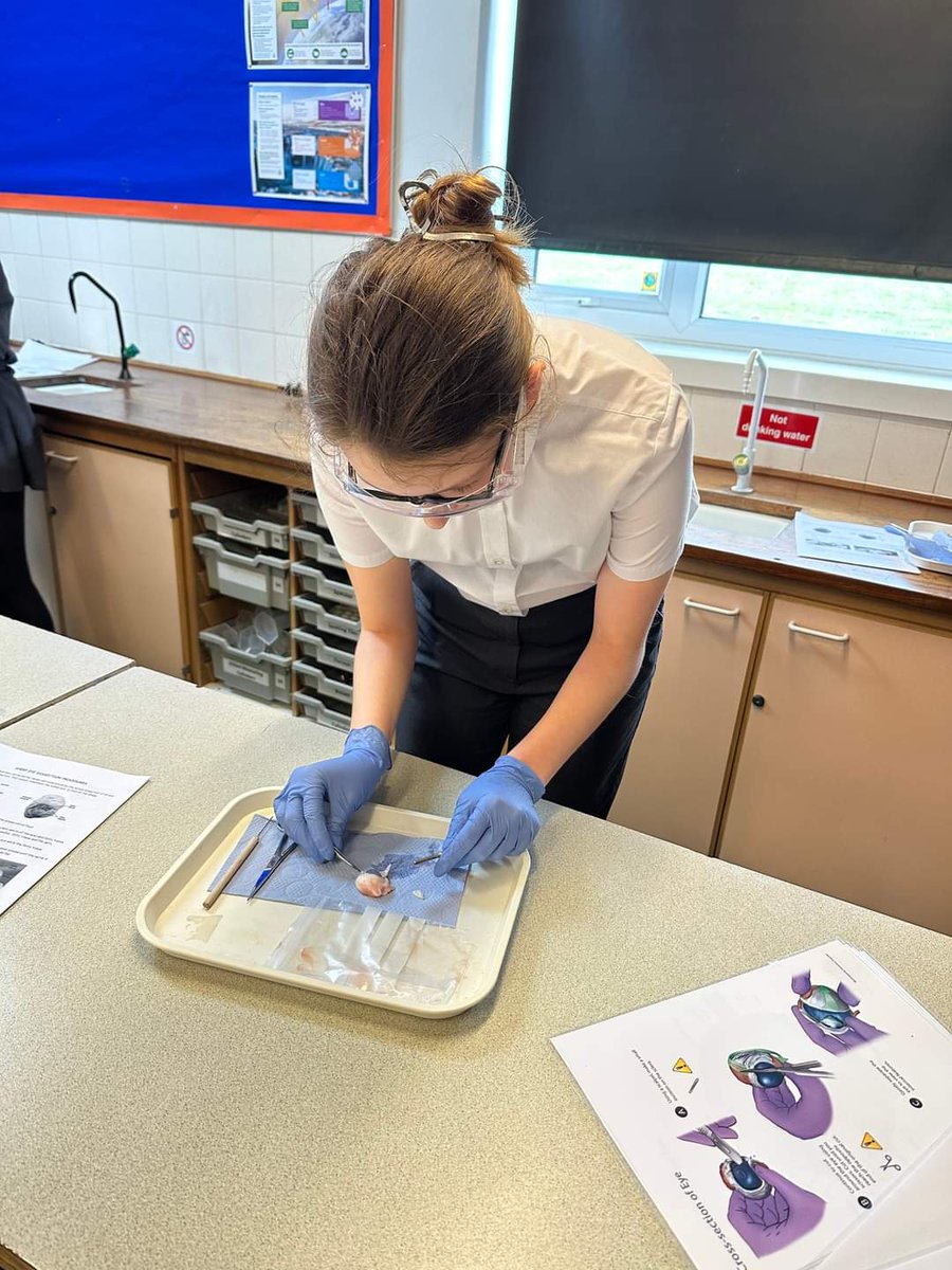 Today Miss Mawby's Science class had a go at dissecting an eye as part of their studies! 👁

#scienceed #teamridgewoodscience