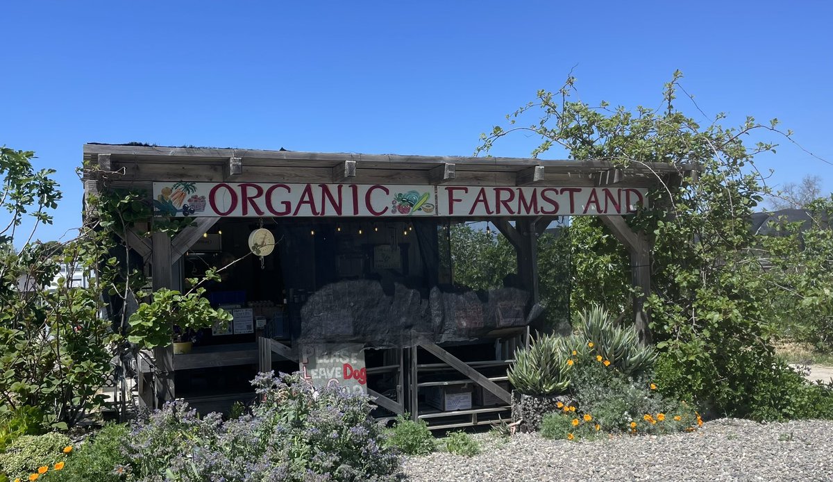 Always a good idea to stop at the farmstand across from Lavender Oak Vineyard🍷
Each sip is a journey through beauty and flavor. 🌅🍷 
📞 805-564-1819

#lavenderoakvineyard @lavender.oak 

#localtour #localbusiness 

#womanownedbusiness 

#santabarbarasmallbusiness