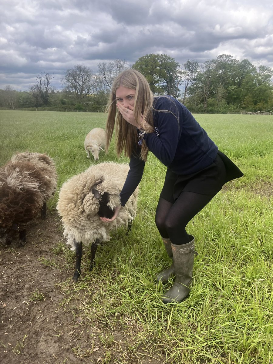 Tegan returns…to visit Tegan! 🐑 Nice to welcome back today one of our former @RadleyLinks Empower Programme partnership groups from @Fitzharrys. Checking up on the progress of this Llanwenog 🏴󠁧󠁢󠁷󠁬󠁳󠁿ewe named in her honour a year ago.