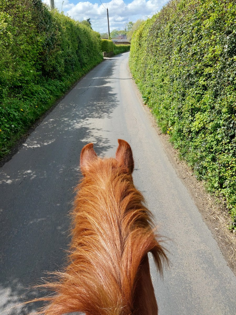 Today SC Bernardis has been out and about on Jack, a little rural patroling around #NewAshGreen assisting in reports of #AntiSocialBehaviour. Let us know if you saw them? AW