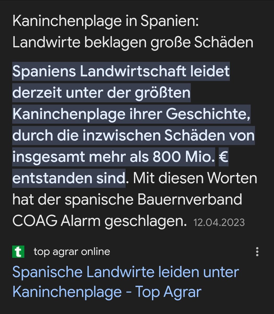 @MarkusK26569606 Und das noch am Rande, ich fahre jeden Tag 200 km Landstraße an Feldern vorbei . Gerade Abends, wenn es dunkel wird wimmelt es von den Viechern. Auf 6km sehe ich im Schnitt 20 Kaninchen, sitzen meist am Straßenrand im hohen Gras. Einige laufen aufs Feld und einige auf die Straße.