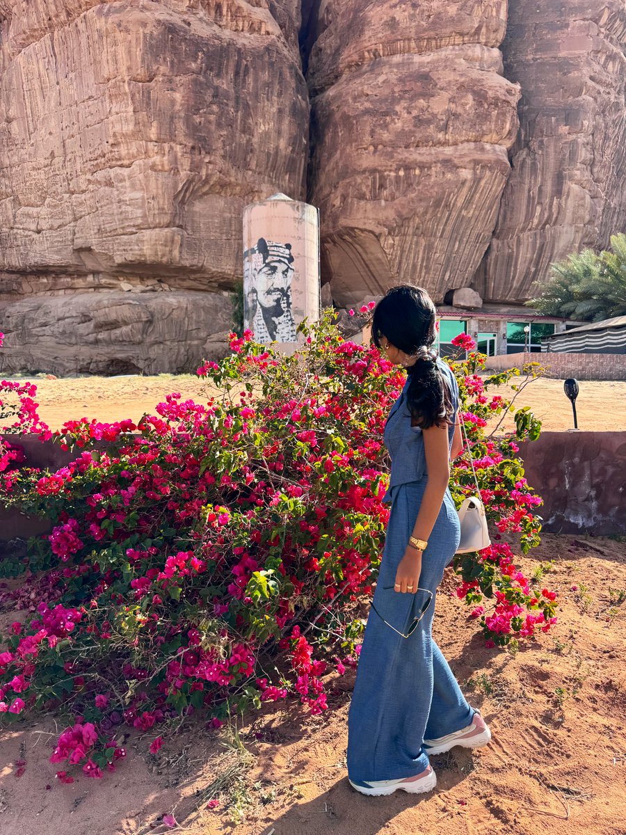 3636Shahad's tweet image. شايفينك حلمنا 💚