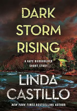 Today, at Kevin's Corner Annex, @kevinrtipple discusses @LindaCastillo11's short story, Dark Storm Rising. tinyurl.com/ee92f6zt
